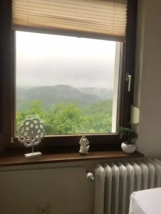 Tek Büyük Yataklı Oda, Özel Banyo, Dağ Manzaralı