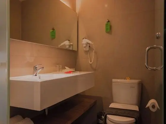Deluxe Tek Büyük Yataklı Oda, 1 En Büyük (King) Boy Yatak