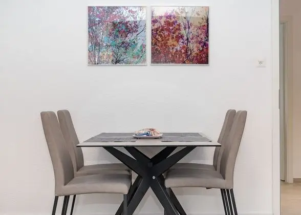 Comfort Apart Daire, 1 Büyük (Queen) Boy Yatak ve Çekyat (incl. cleaning fee of 120 CHF)