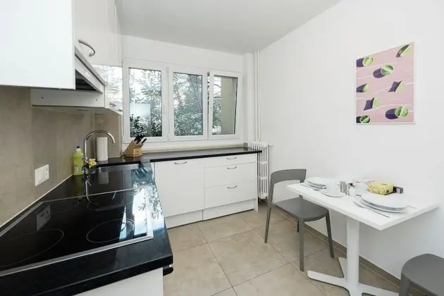 Comfort Apart Daire, 1 Büyük (Queen) Boy Yatak ve Çekyat (incl. cleaning fee of 120 CHF)