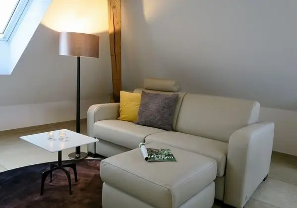 Superior Apart Daire, 1 Yatak Odası, Mutfak (incl. cleaning fee of 120 CHF)