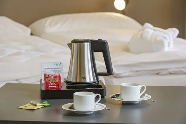 Junior Süit, 1 Yatak Odası, Balkon, Bahçeli (incl. SPA entrance)