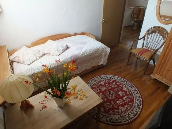 Basic Tek Büyük Yataklı Oda, 1 Çift Kişilik Yatak