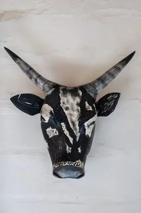 Oda