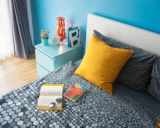 Superior Tek Büyük Yataklı Oda, 1 En Büyük (King) Boy Yatak, Özel Banyo, Şehir Manzaralı